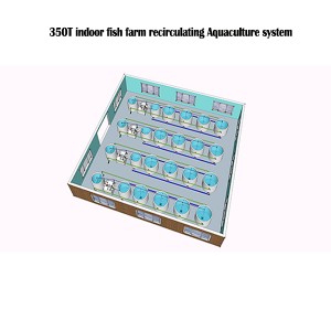 350T fresh water fish pond filtration system