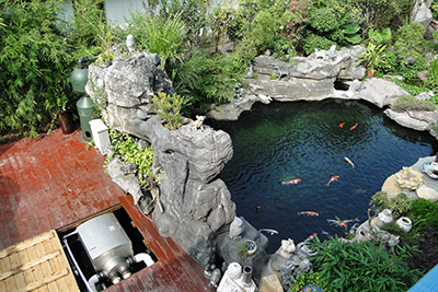 Taman kolam <br> Cina